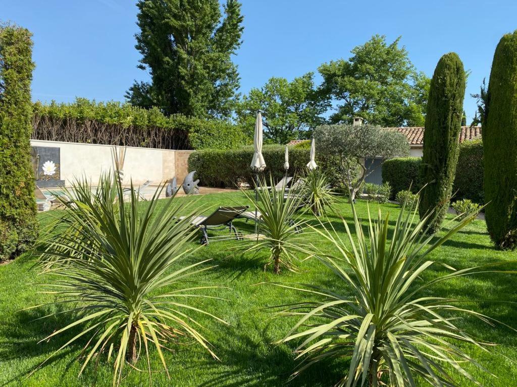 Mas Beau Soleil & Spa Cottages De Charme Avec Jacuzzi&Jardin Prives Saint-Rémy-de-Provence 外观 照片