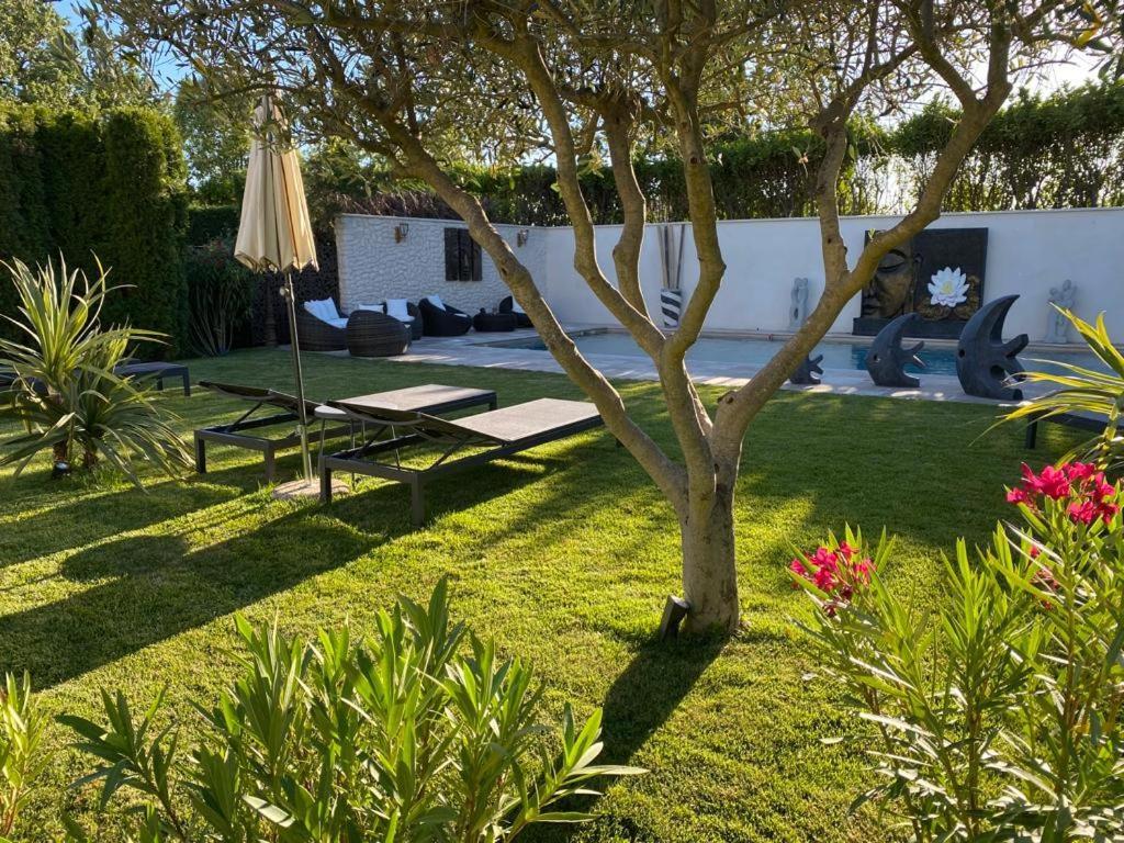 Mas Beau Soleil & Spa Cottages De Charme Avec Jacuzzi&Jardin Prives Saint-Rémy-de-Provence 外观 照片